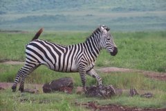 tanzania5119