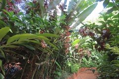 tanzania6015