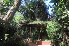 tanzania6019