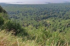 tanzania6023