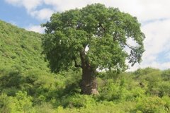 tanzania6027
