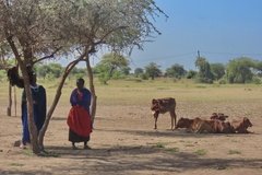 tanzania7003