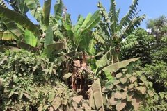 tanzania8018