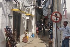 zanzibar1060
