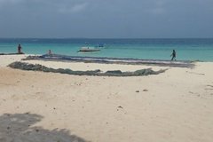 zanzibar3005