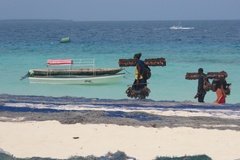 zanzibar3007