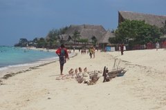 zanzibar3013