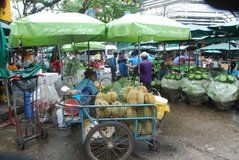 thailand1175