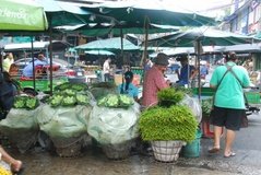 thailand1176