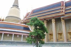 thailand1185