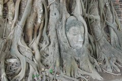 thailand3044
