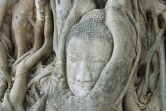 thailand3046