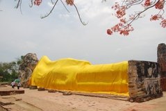 thailand3052