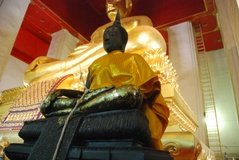 thailand3061