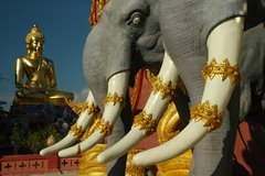 thailand7053
