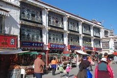 tibet0233