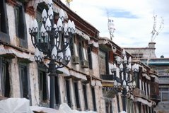 tibet0235