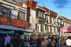 tibet0236