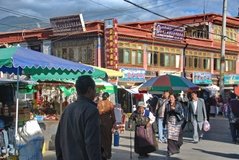 tibet0237