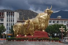 tibet0239