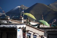 tibet0241