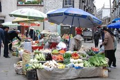 tibet0248