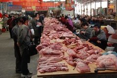 tibet0251