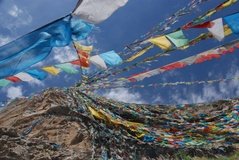 tibet0259
