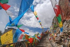 tibet0260