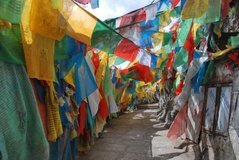 tibet0263