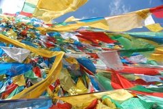 tibet0264