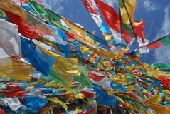 tibet0265