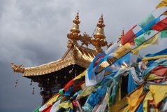 tibet0269