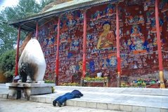 tibet0274