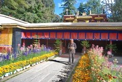 tibet0291