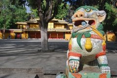 tibet0295