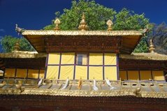 tibet0296