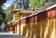 tibet0299