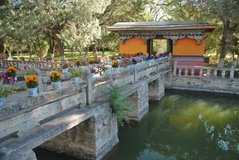 tibet0306