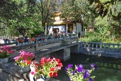 tibet0308