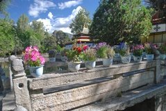 tibet0311