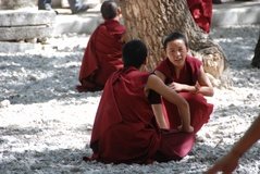 tibet0326
