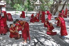 tibet0335