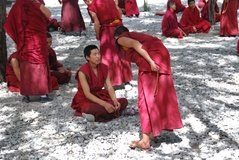 tibet0336