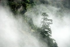 tibet1025