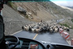 tibet1040