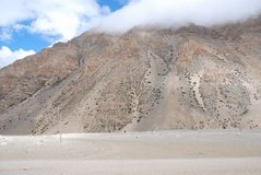 tibet1061