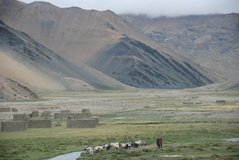 tibet1063