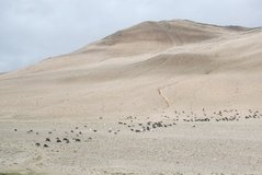 tibet1066