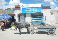 tibet2007